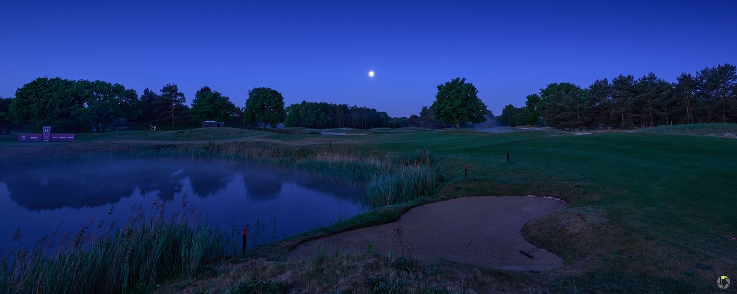 A tranquil panoramic night scene shows a moon rising over a marshy pond with silhouetted trees against a deep blue sky.