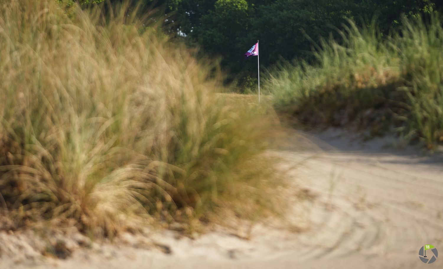 A winding sand trail leads through tall grass and coastal vegetation under blue skies.