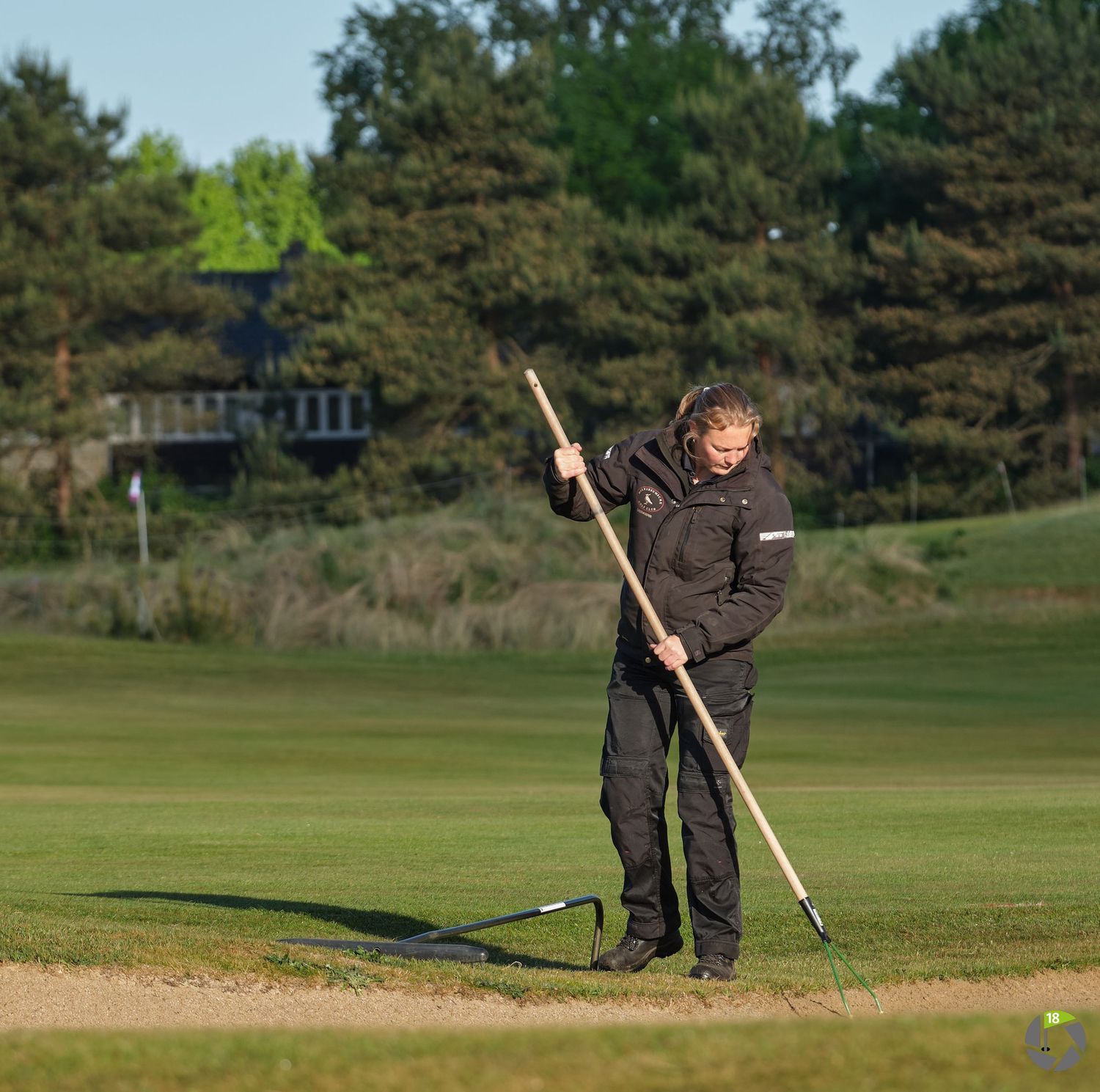 Golf course maintenance worker using a long rake tool on the green.