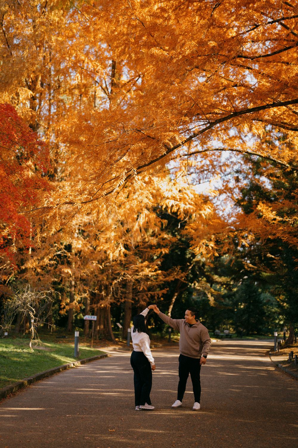 Couple holding hands and dancing playfully under a canopy of vivid orange autumn trees in a park.