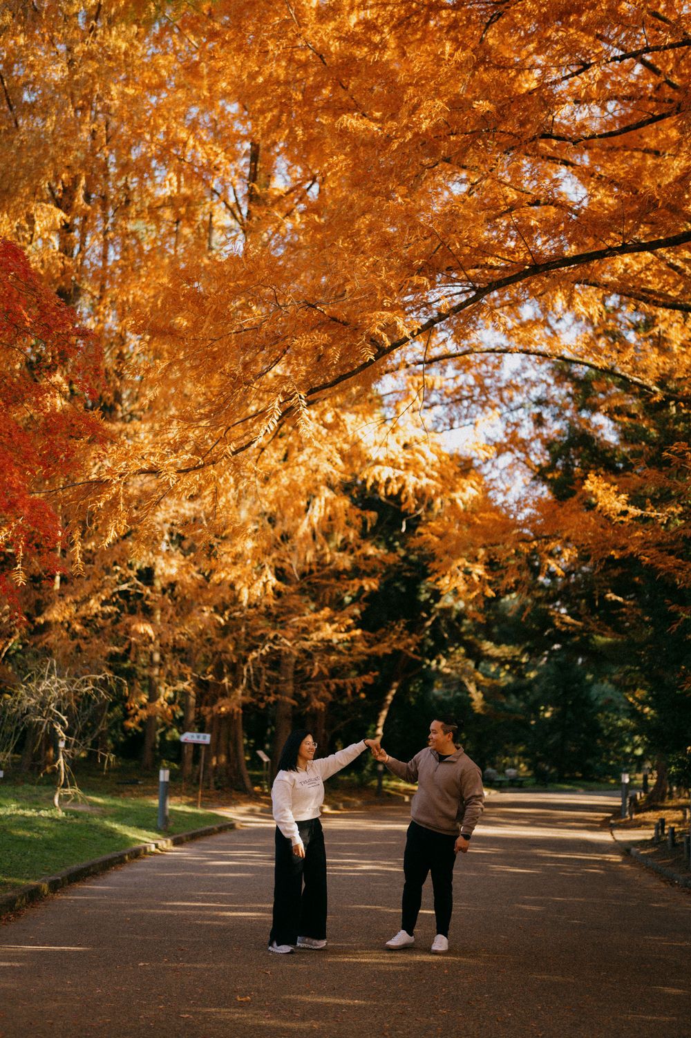 Couple reaching toward each other on a tree-lined path surrounded by breathtaking golden fall foliage.