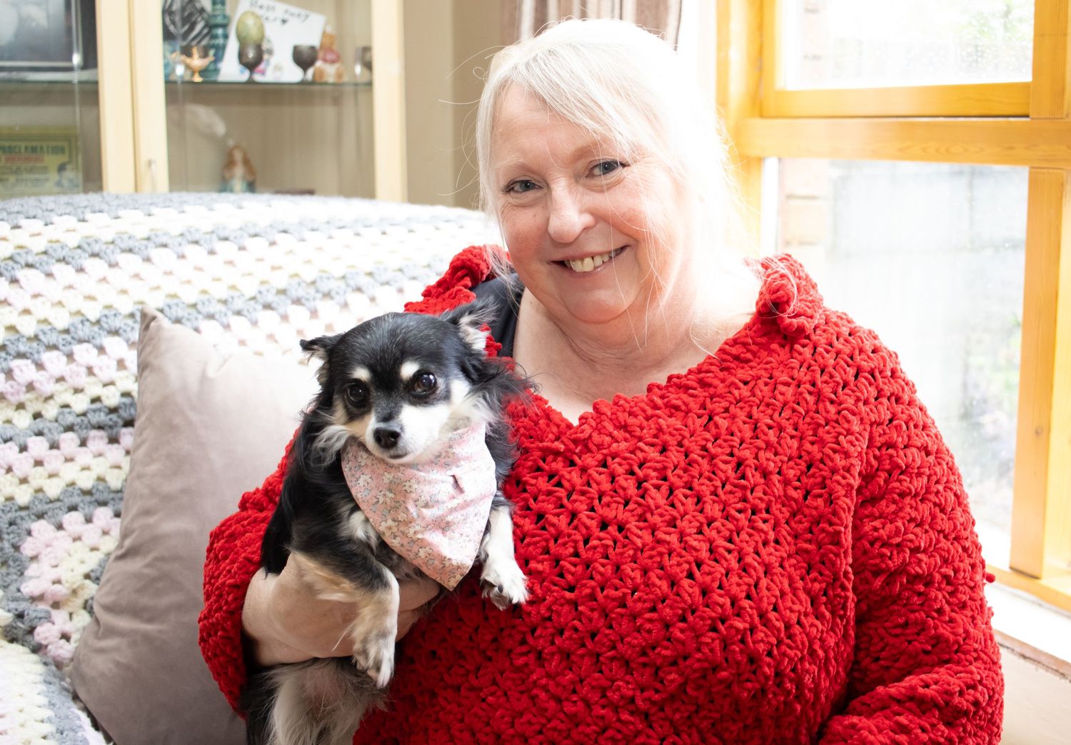 A small black and white Chihuahua mix dog sits with someone wearing a bright red knit sweater by a sunny window.