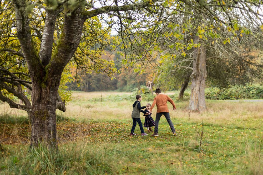 Two people and a dog enjoying an autumn walk through a countryside meadow beneath yellow-leaved trees.
