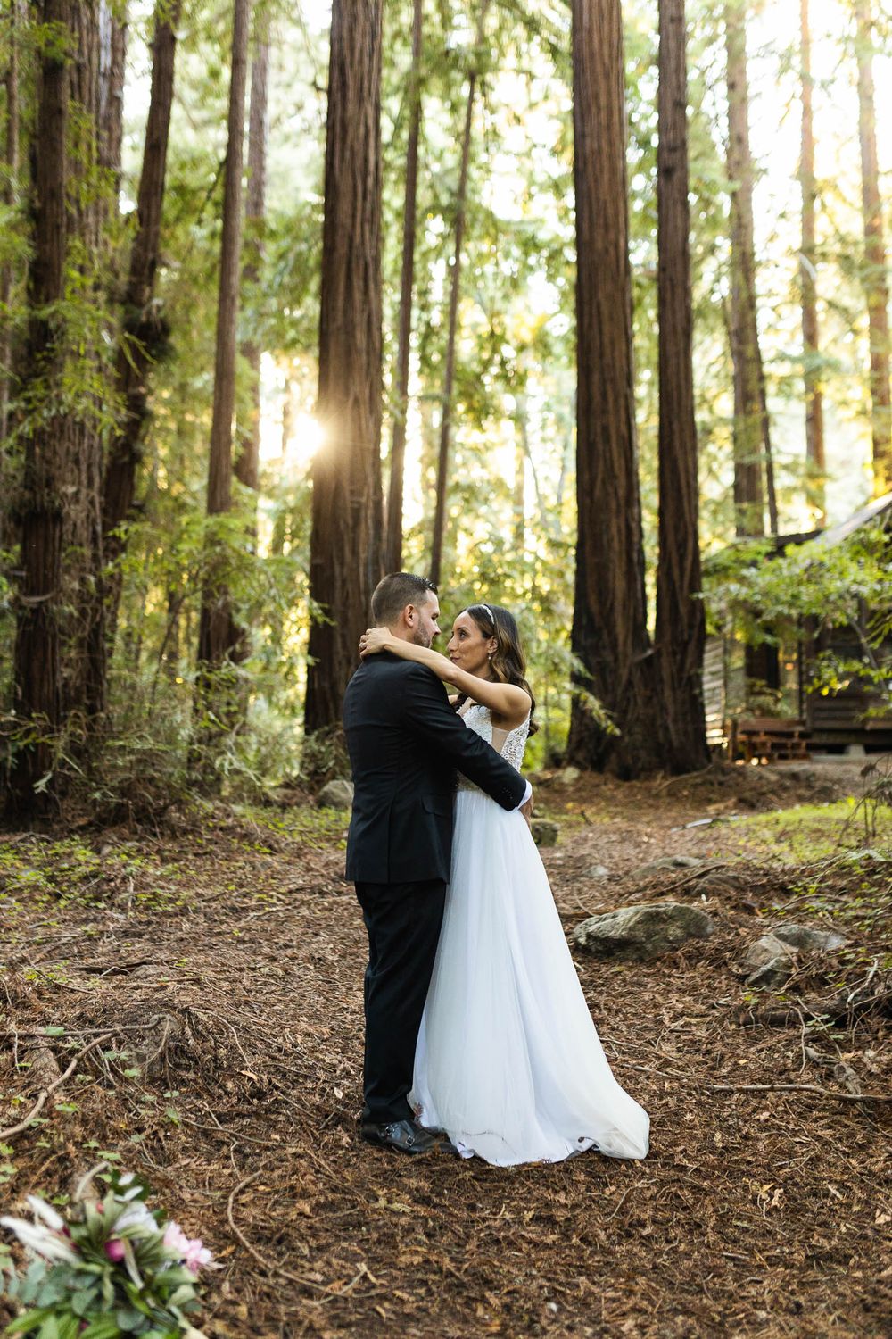 A tender moment between newlyweds in a sunlit redwood forest.