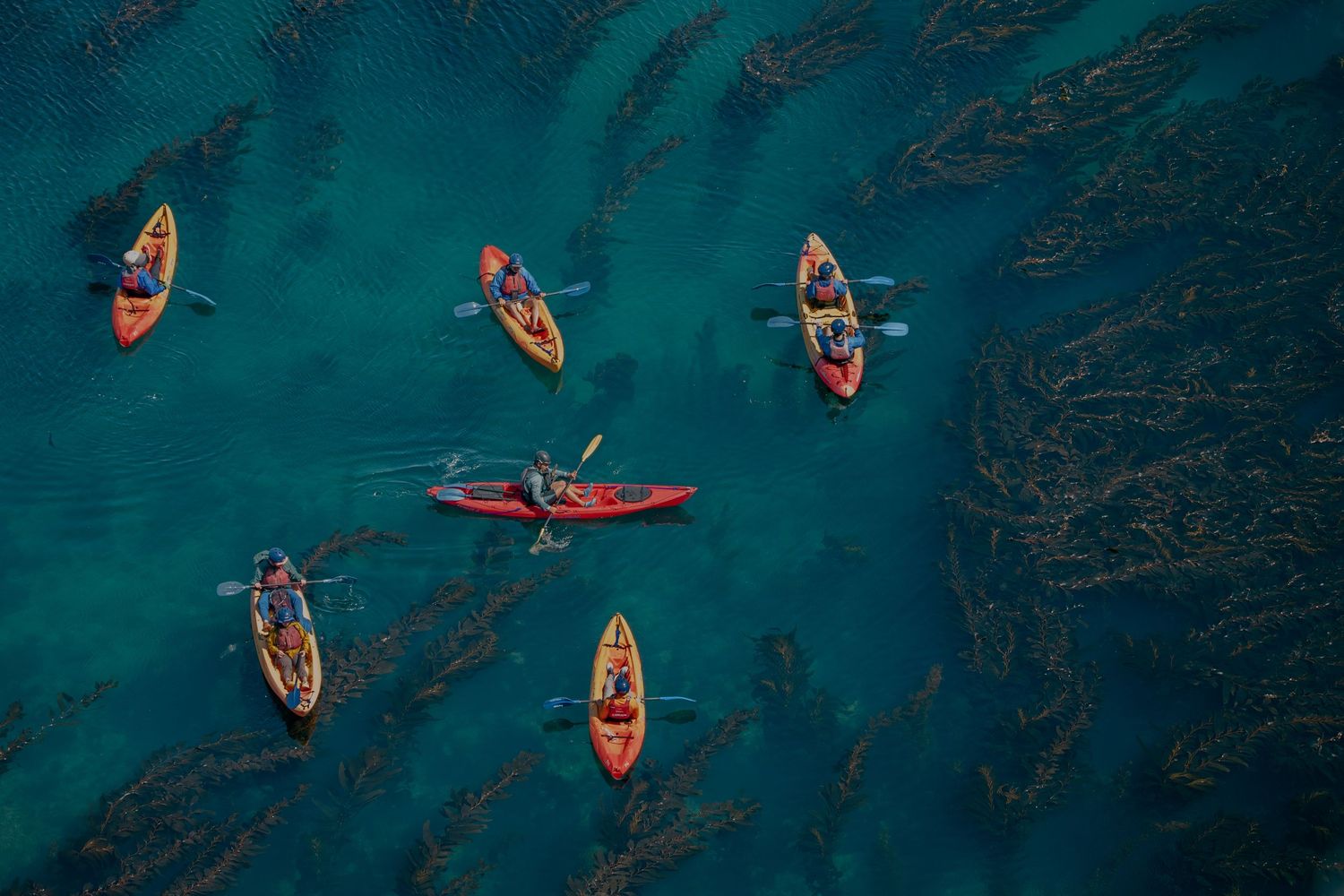 Drone shot of colorful kayaks scattered across deep blue ocean waters.