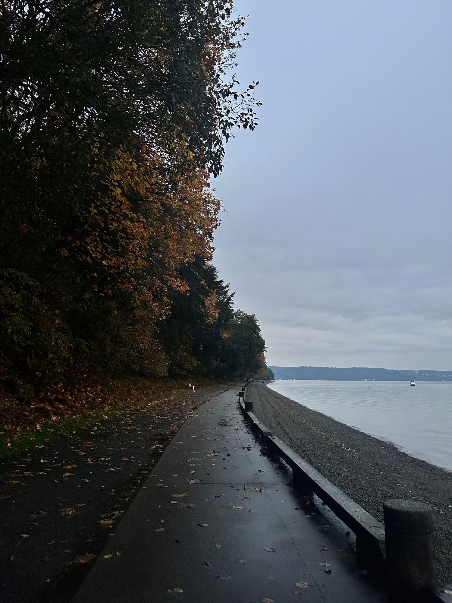 A curved waterfront path along a rocky beach with autumn trees and grey skies over calm waters in the distance.