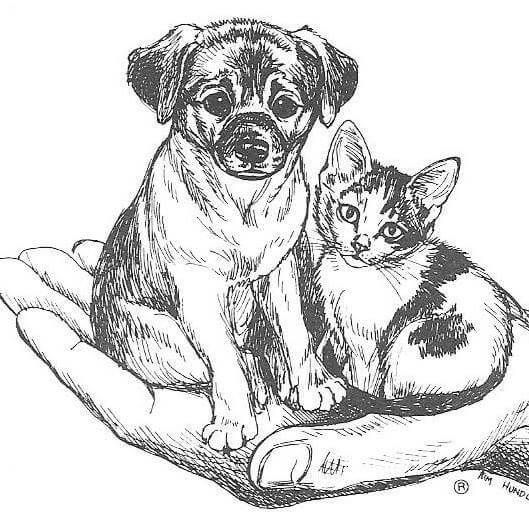 Minimalist grey logo design for Cheboygan County Humane Society featuring a dog and cat held in a human hand.