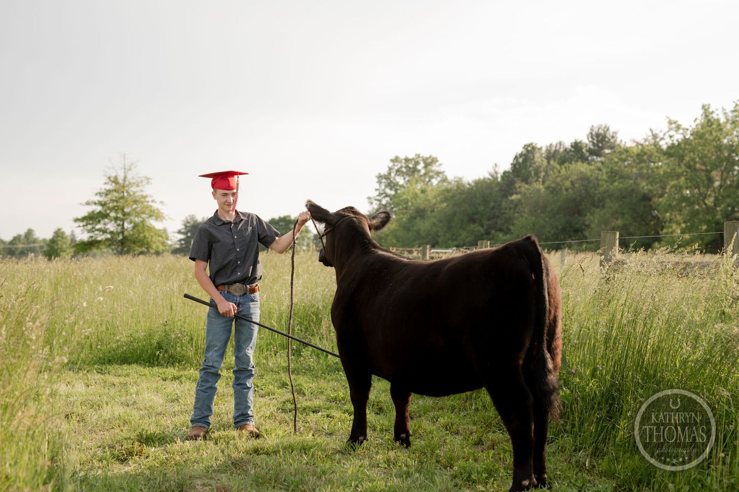 A graduate in a red cap poses with a black show cow in a grassy field.