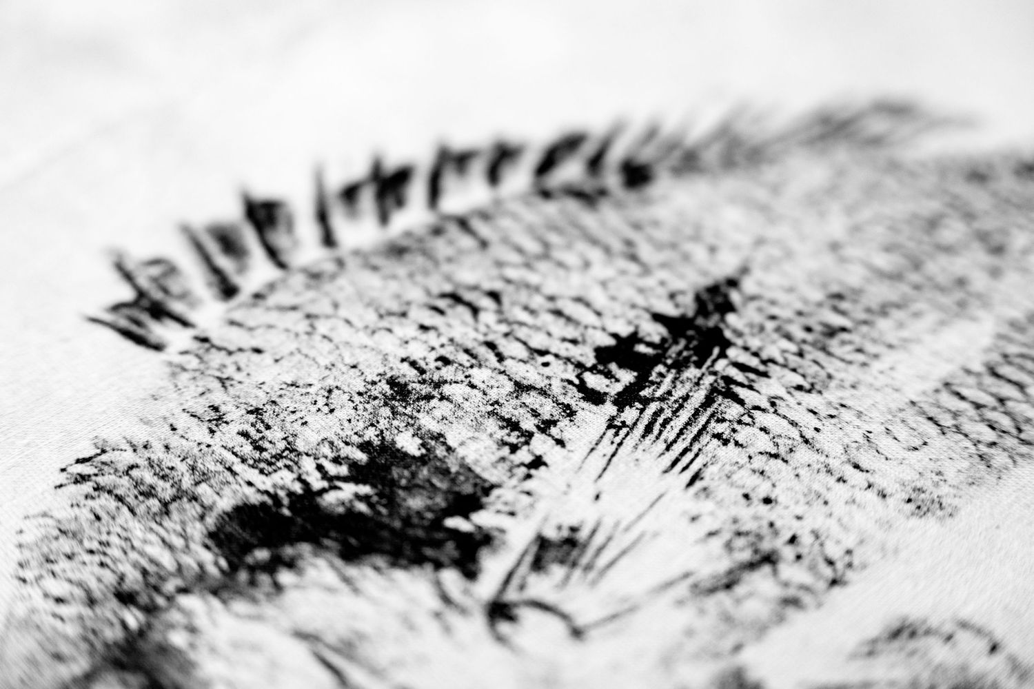 Abstract black and white texture showing natural fish scale pattern.