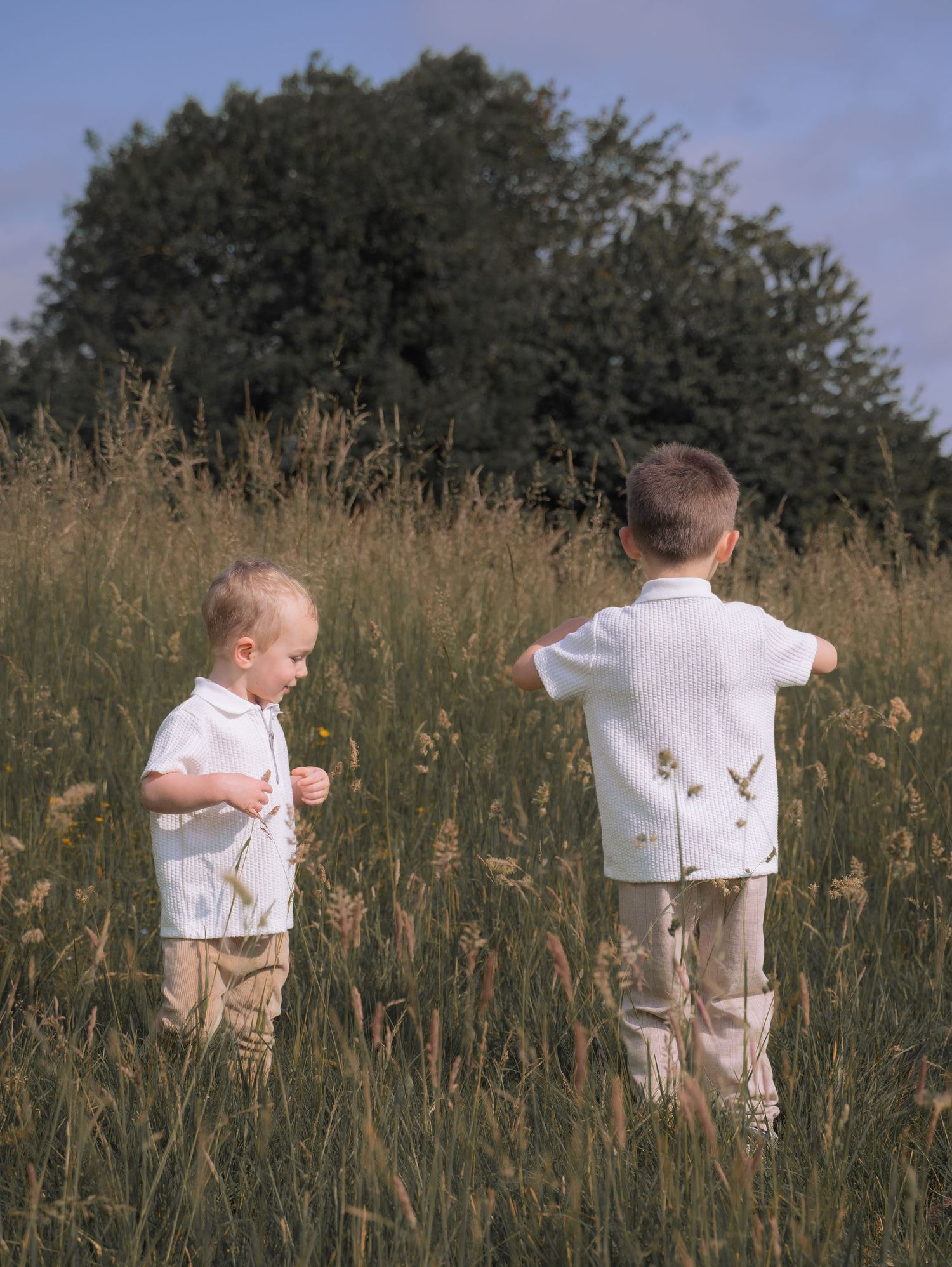 Two young boys exploring a tall grassy field in Derbyshire during a golden hour family photo shoot. A candid, adventurous moment filled with