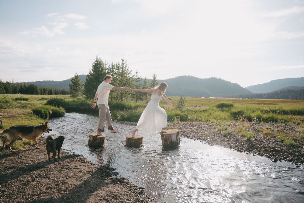 Bride and groom cross a stream on stepping stones with dogs in mountain meadow setting.