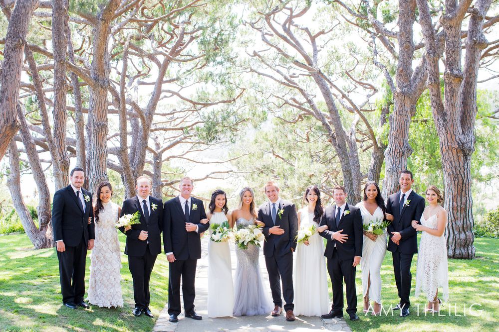 Wedding party group portrait with bride, groom, and attendants standing under tall trees outdoors.