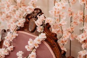 Delicate pink cherry blossoms frame a dark wooden violin against a soft blush background. Photography Studio in Wayland, MI