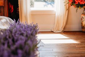 A bright kitchen interior with rose bouquets and lavender displays near sunlit windows with hardwood floors. Photography Studio in Wayland