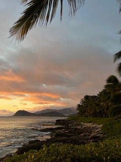Tropical sunset over rocky coastline with palm trees and mountain silhouettes in Hawaii.
