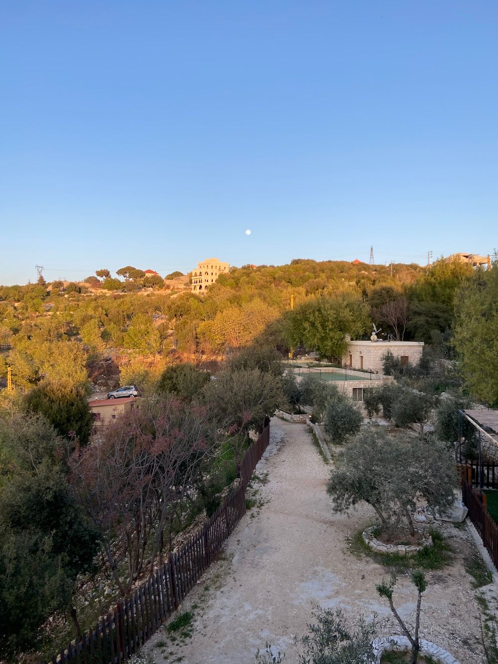 A winding dirt path leads through a garden with olive trees and iron fencing on a hilltop during golden hour.