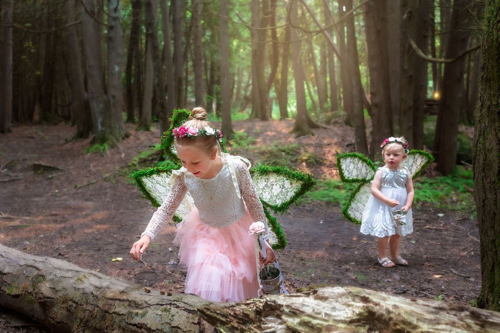 Children in pink dresses explore a magical forest setting with sunlight filtering through tall trees.