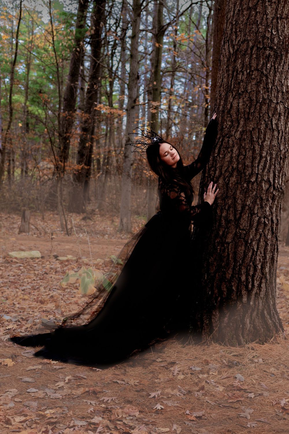 Four sequential photos show a women in a black gown posing at the base of a large tree trunk in autumn woods.