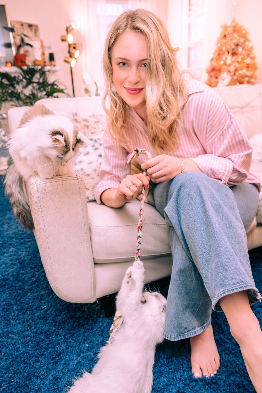Cozy scene with fluffy white dog and blue carpet in pink-tinted room.