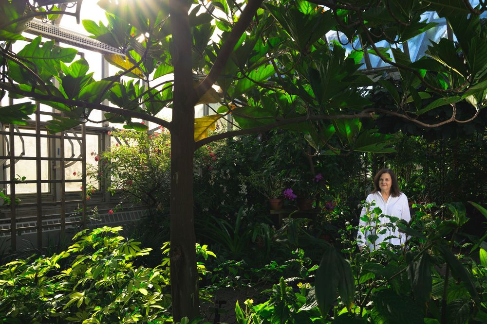 A person in white stands among lush green plants in a sunlit garden with filtered light streaming through the foliage.
