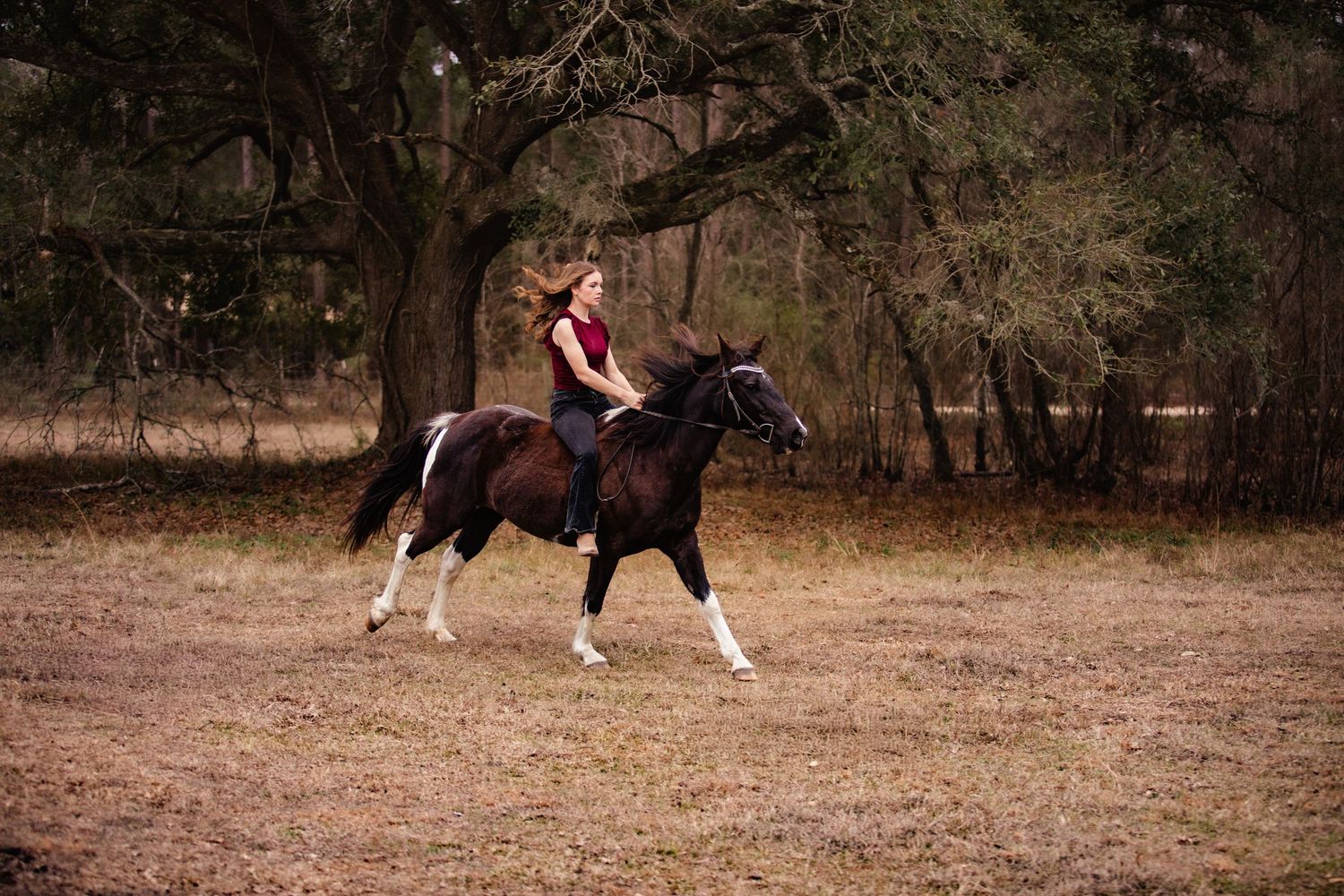 Seven sequential photos show a horse and rider performing a sliding stop maneuver in a dirt arena.