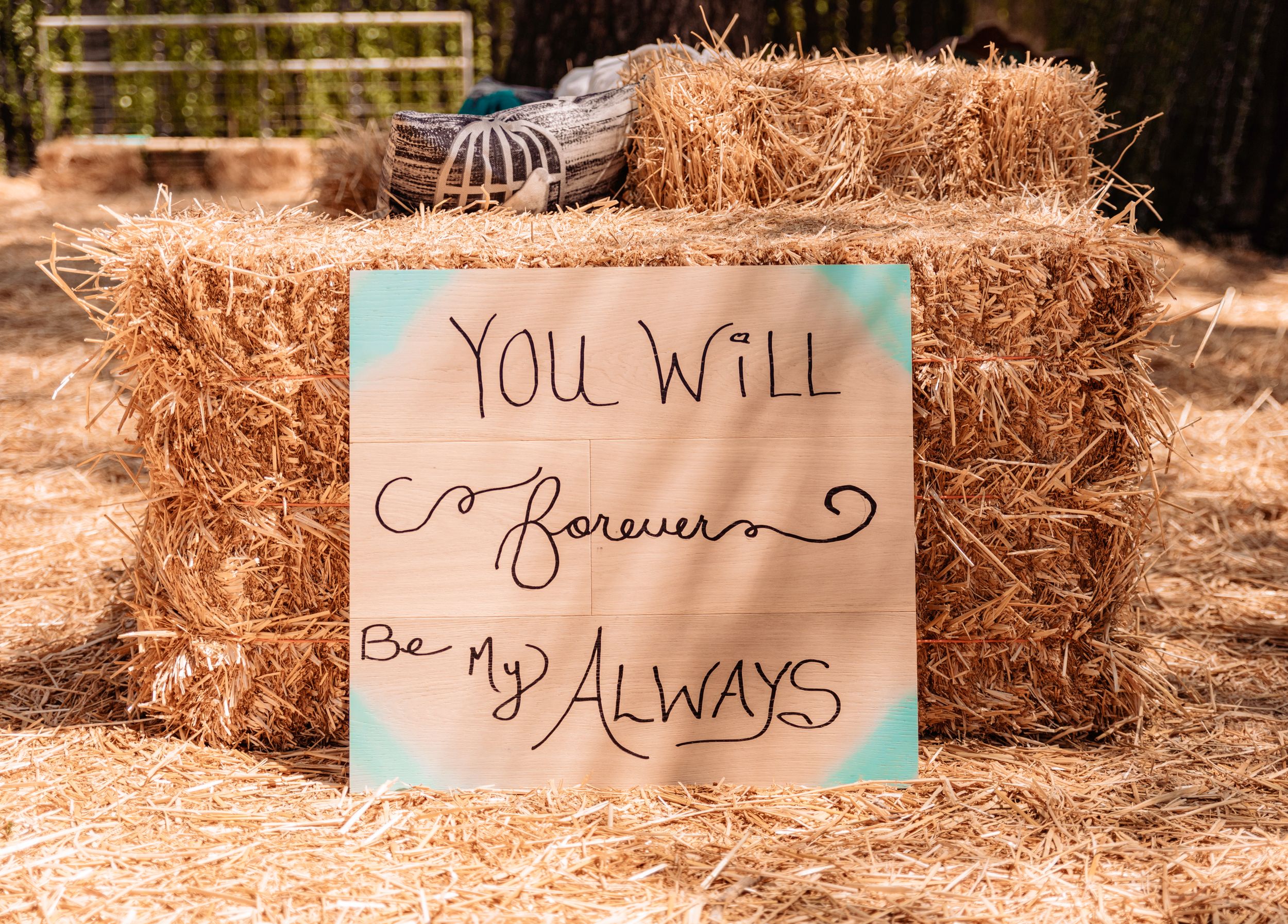 Rustic hay bales with decorative signs arranged in an outdoor setting.