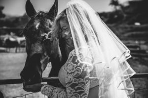 Artistic black and white wedding photos showing intimate moments with a horse.