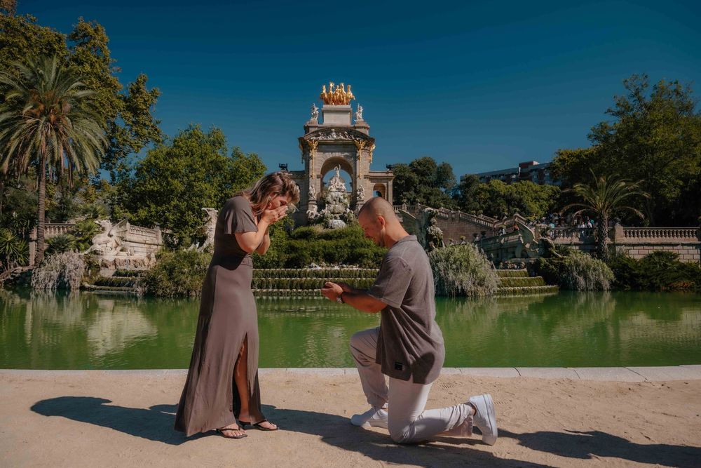Wide shot of proposal location with green trees and blue sky.