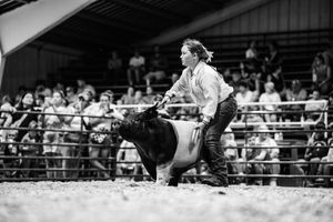 A black and white photo of a rider competing in a bull riding event at a rodeo arena with spectators in the background.