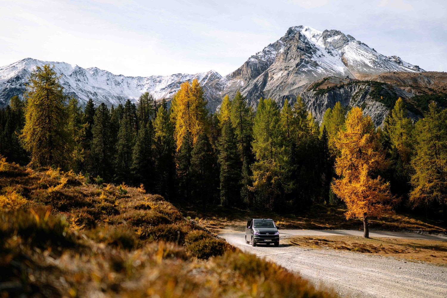 A car drives along a mountain road surrounded by golden autumn trees and snow-capped peaks in the background.