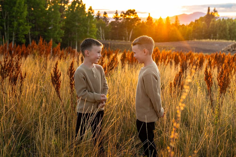 A family photoshoot captures intimate moments in tall grass during golden hour sunset.