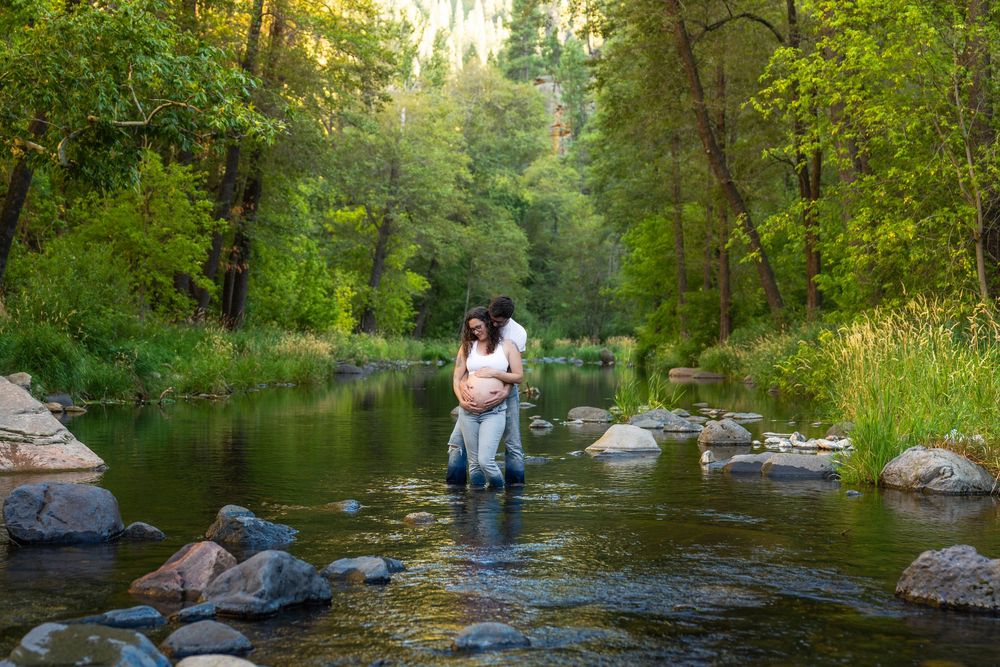 Tranquil forest creek scene with rocks and lush greenery.