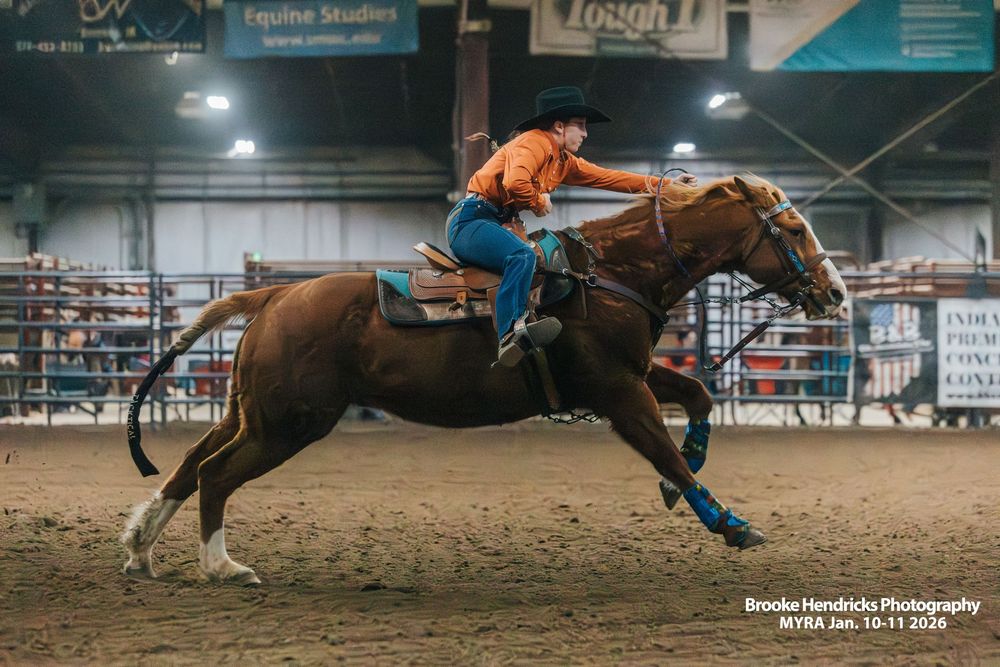 A series of action shots showing a cowboy competing in a rodeo calf roping event inside an indoor arena.