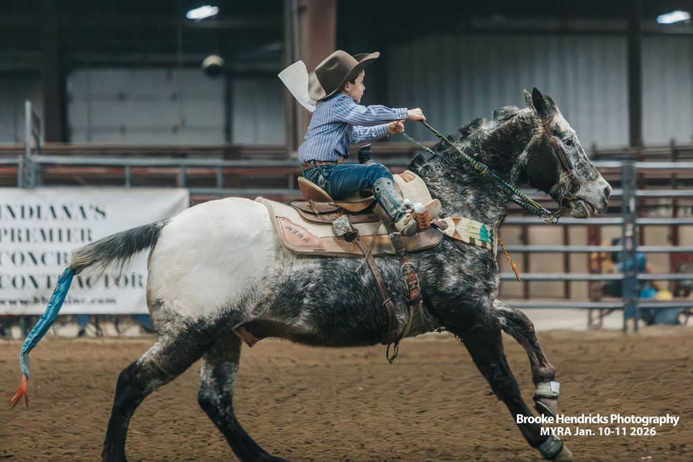 Young rodeo participant practices roping skills on a dummy steer in an indoor arena during training session.