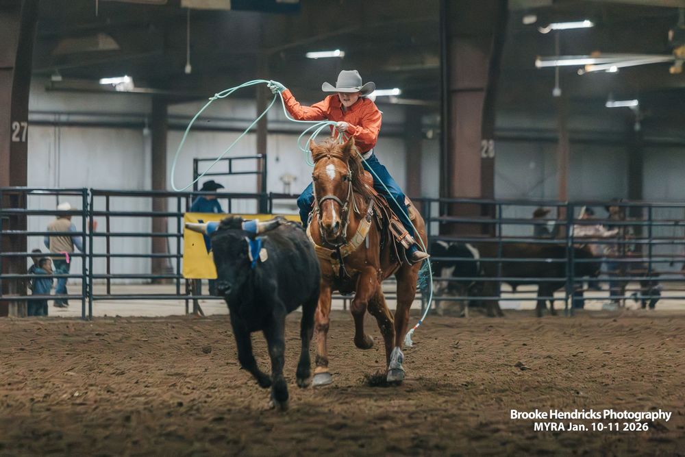 Rodeo rider competing in indoor arena during bronc riding event with handlers and crowd watching.