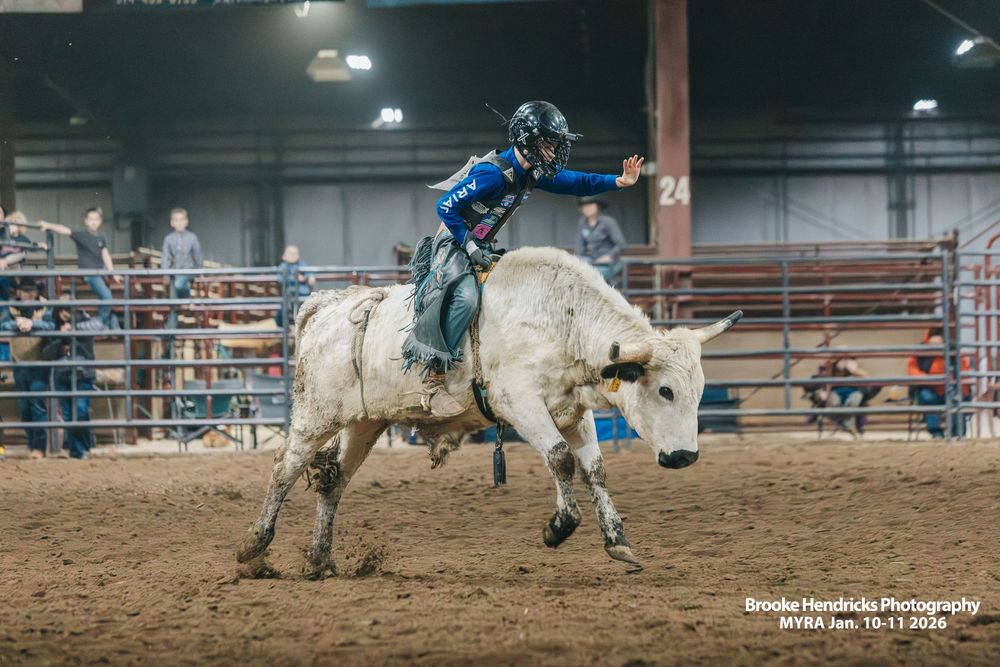 A sequence of rodeo action shots showing a bull rider competing in an indoor arena during a professional rodeo event.