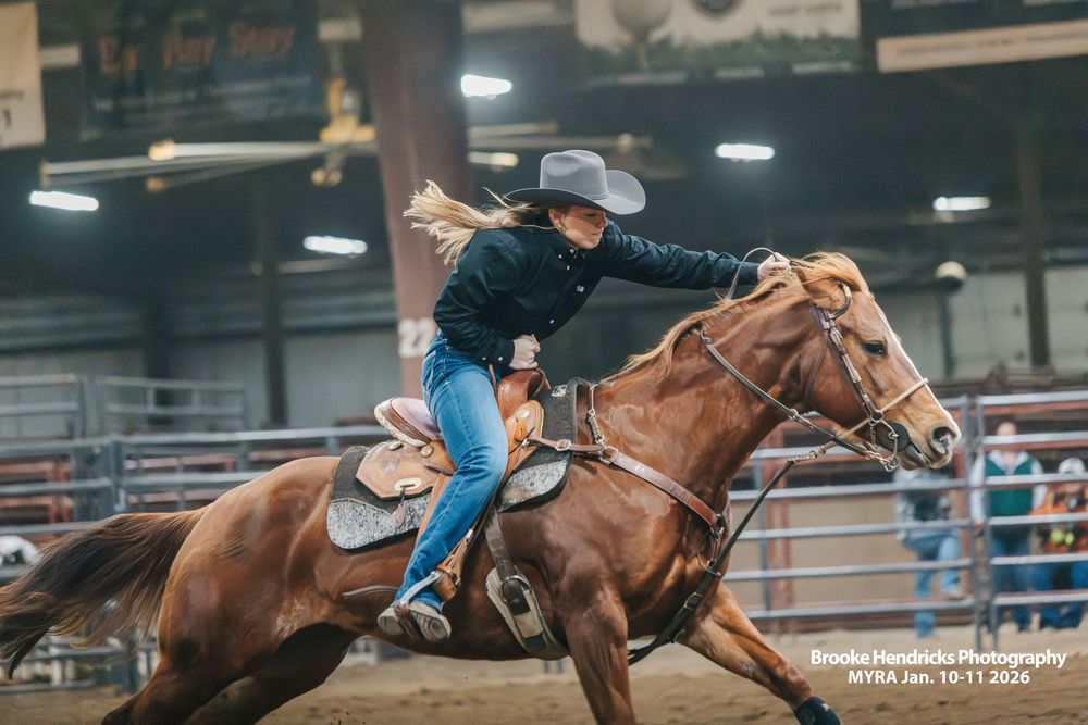 Panoramic sequence of a bronc rider attempting to stay mounted on a bucking horse during a rodeo competition.