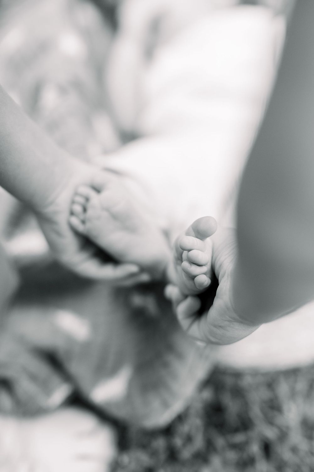 Close-up black and white image showing hands planting seedlings in dark soil.