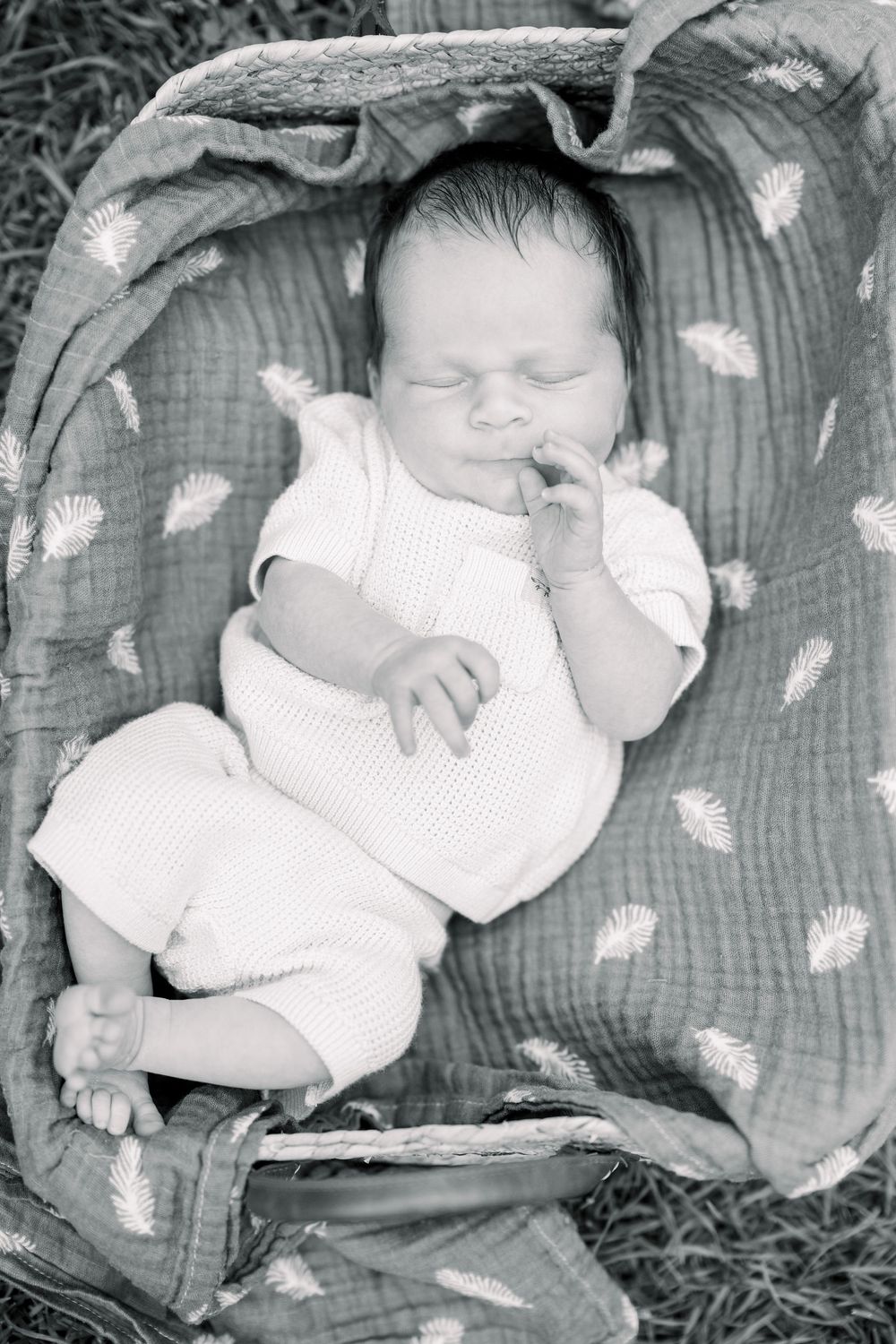 A sleeping baby lies on a gray blanket with delicate pink butterfly decorations in a series of connected photos.