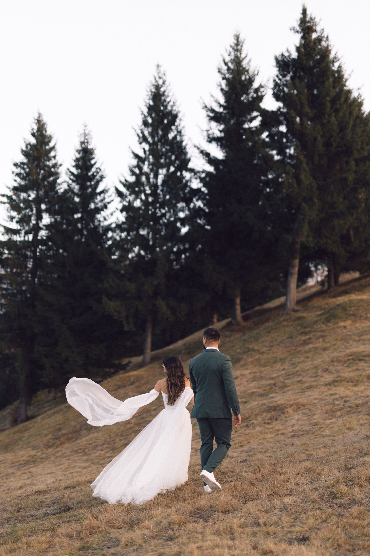 A couple in wedding attire walks up a grassy hillside with evergreen trees in the background as a veil flows in the wind.