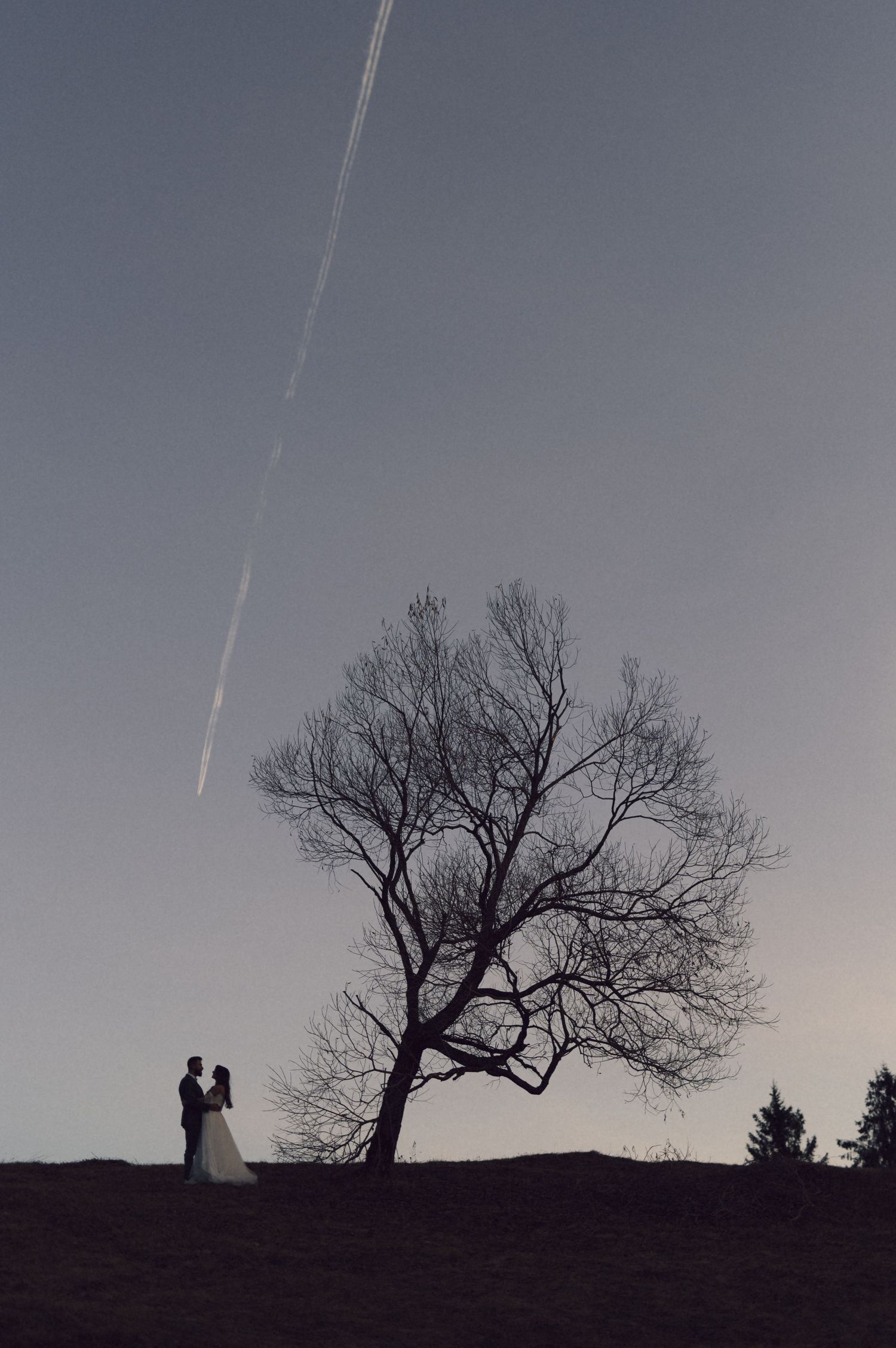Silhouettes of two figures stand against a moody twilight sky with a bare tree on a hilltop.