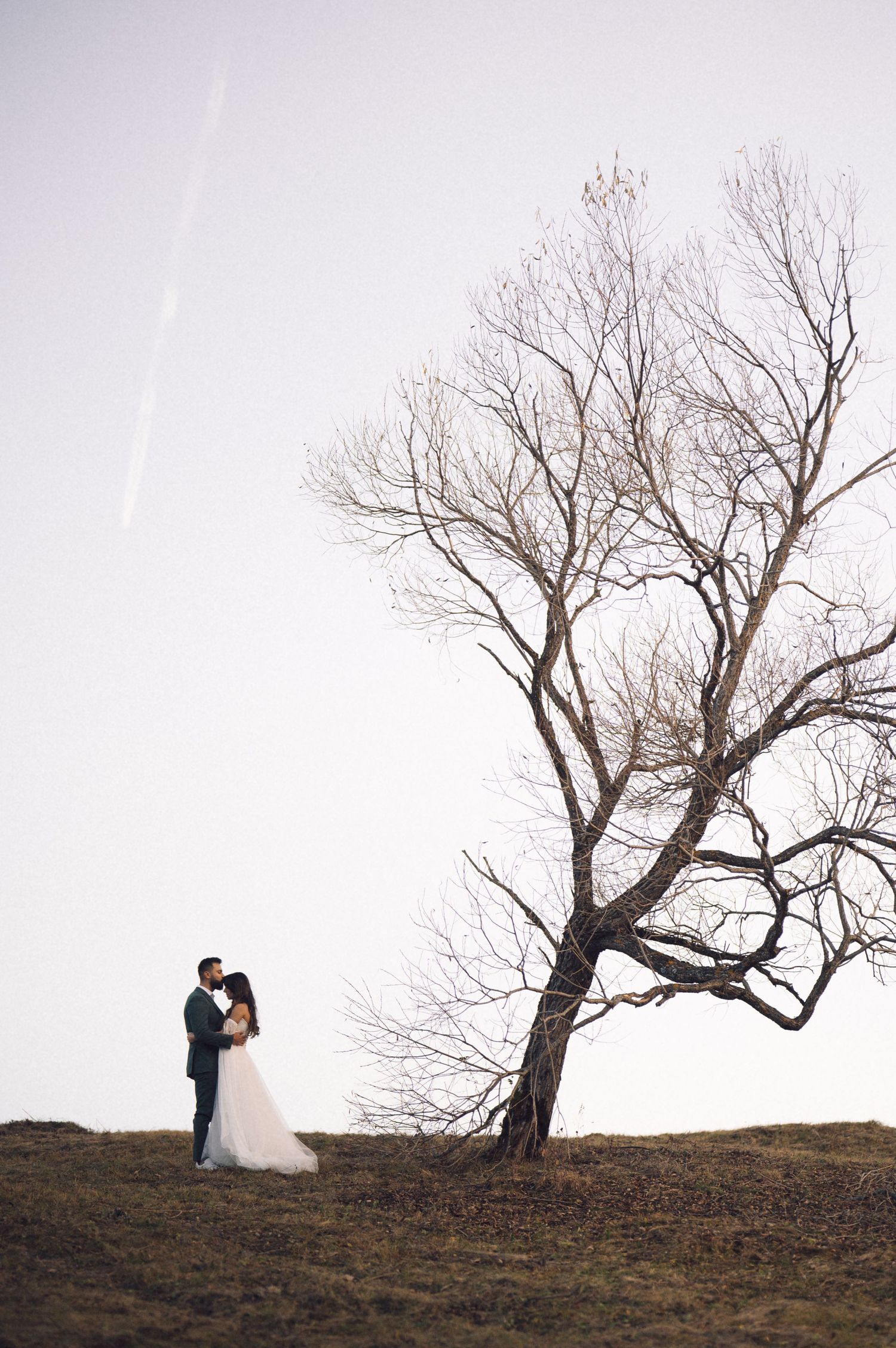 A couple poses beneath bare winter trees on a hilltop silhouetted against an overcast sky.