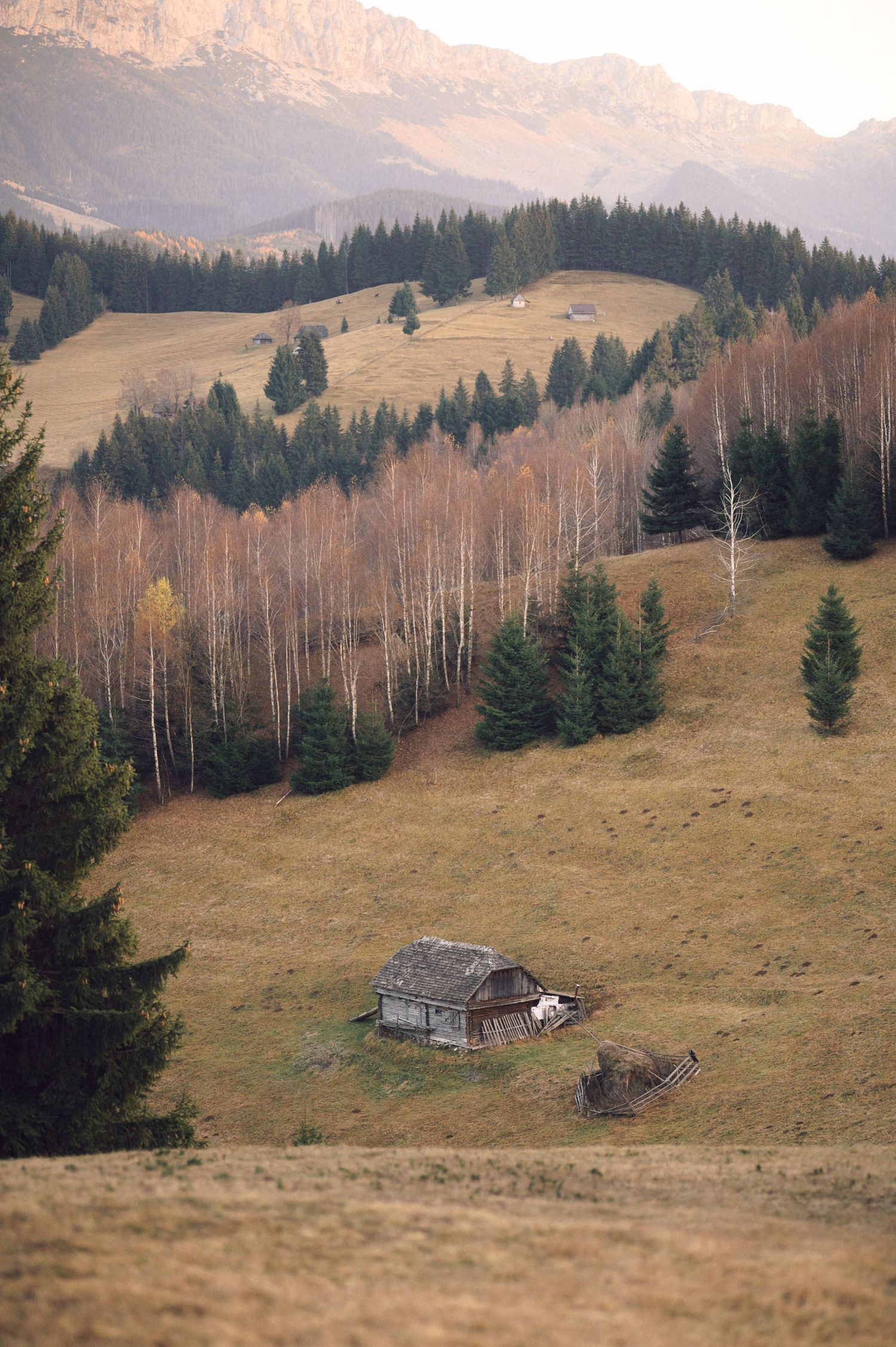 Panoramic sequence of mountain landscape with rustic wooden cabin nestled among evergreen trees and autumn birch forest.
