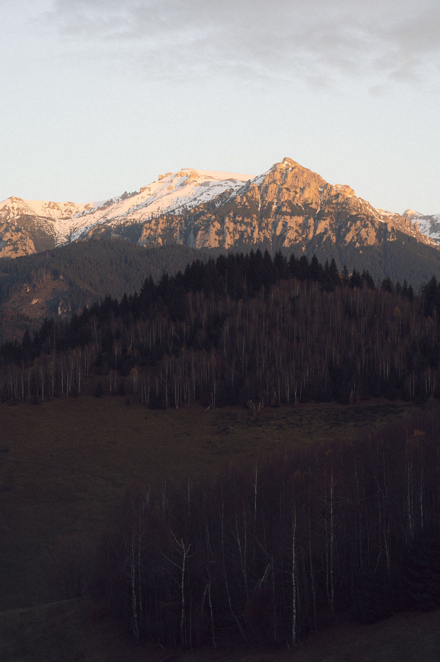 Rugged mountain peaks bathed in warm sunset light tower above a dark forested hillside in a scenic alpine landscape.