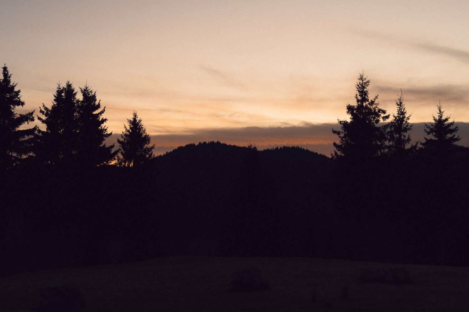 Silhouetted evergreen trees stand against a dusky orange sunset sky over mountain ridges.