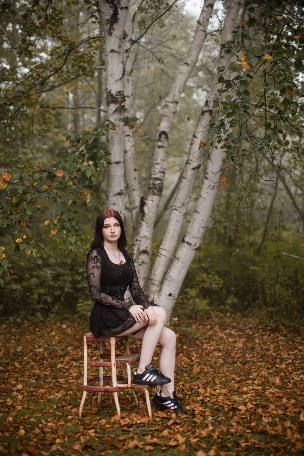 A figure sits on a wooden stool surrounded by autumn leaves and birch trees in a misty forest setting.