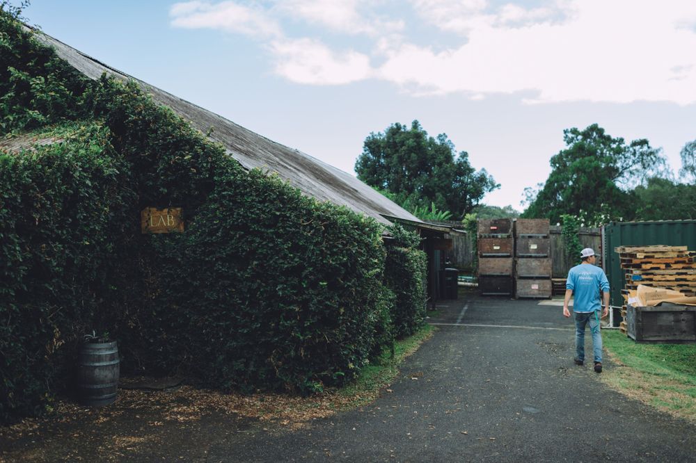 Exterior pathway leading to a brewery warehouse with vegetation and storage equipment.