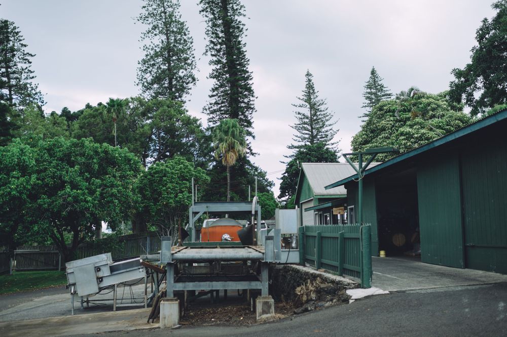 Panoramic view of green industrial buildings surrounded by tall pine trees.
