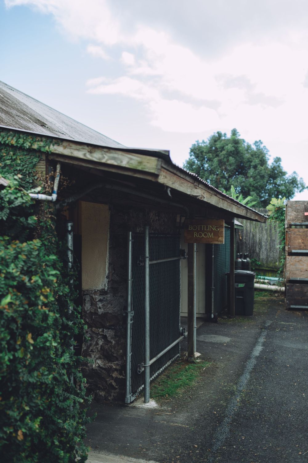 Covered walkway along the side of an industrial building with ivy growing on walls.