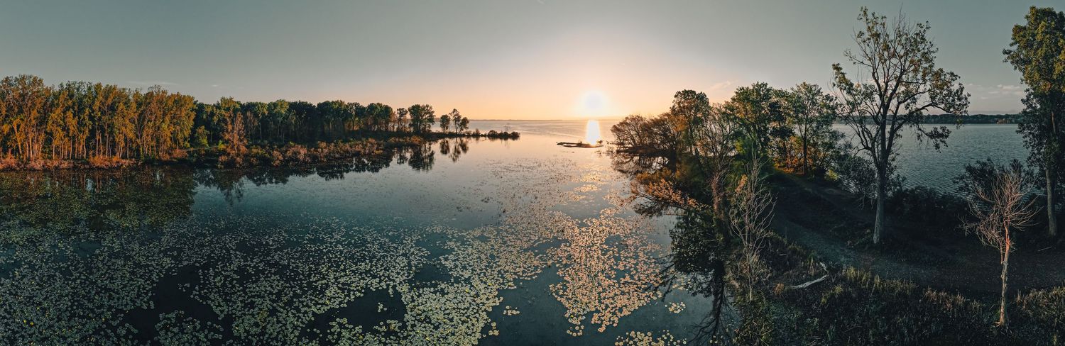 Erie PA peninsula cove with lily pads
